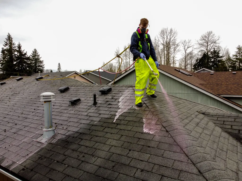 Roof Washing example 2